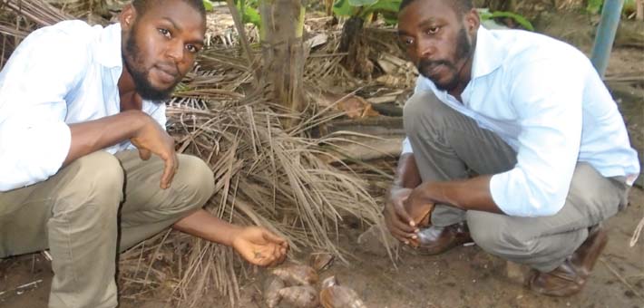 Rearing snail is simple and cheap –Okhiria, Director, SnailCare Farm